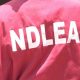 NDLEA Nabs Over 100 Drug Traffickers In Kaduna