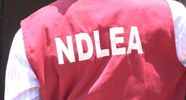 NDLEA Nabs Over 100 Drug Traffickers In Kaduna