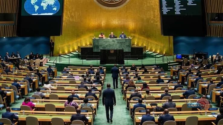 United Nations Human Rights Council